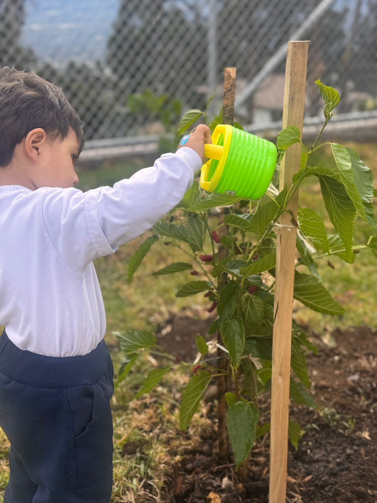 aa3c9d4b-df75-4d2d-b853-3ab0d419a4ce