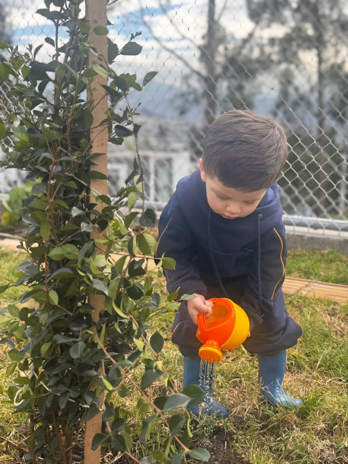 c8590367-ba27-4986-afb9-9a467ab688dc