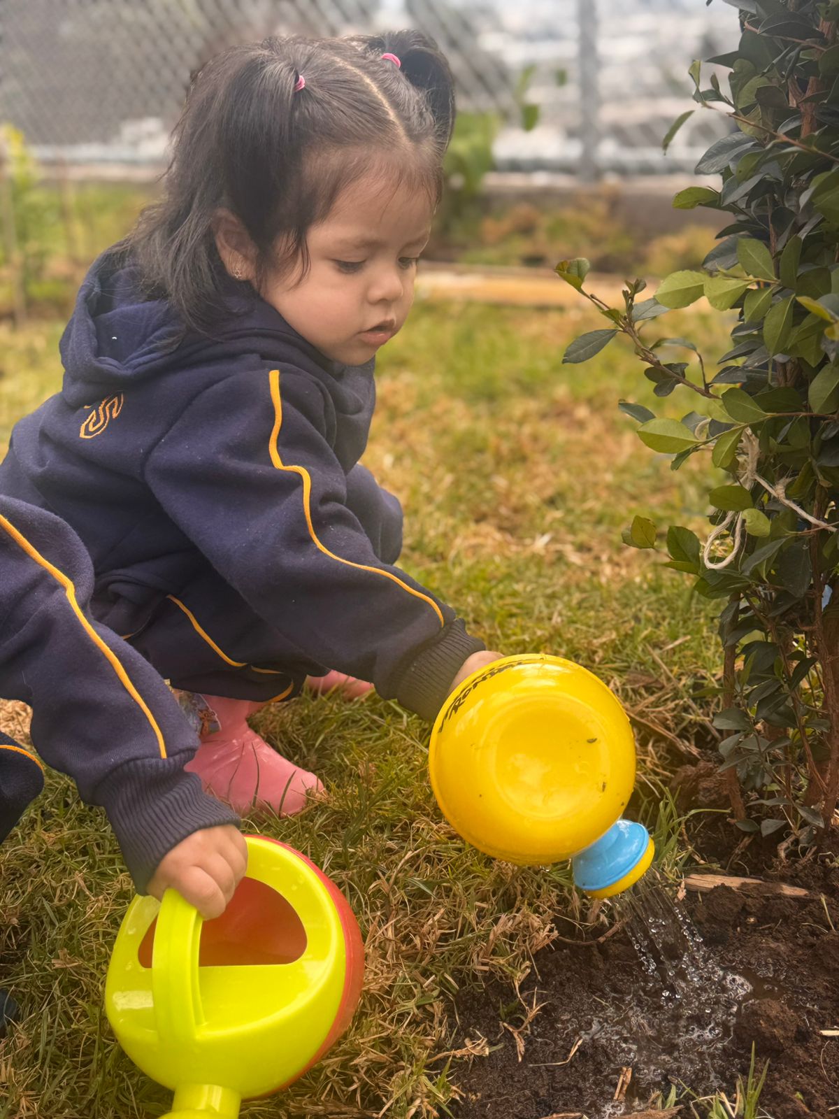 ee85783e-35fc-4894-adbc-4855481c880b